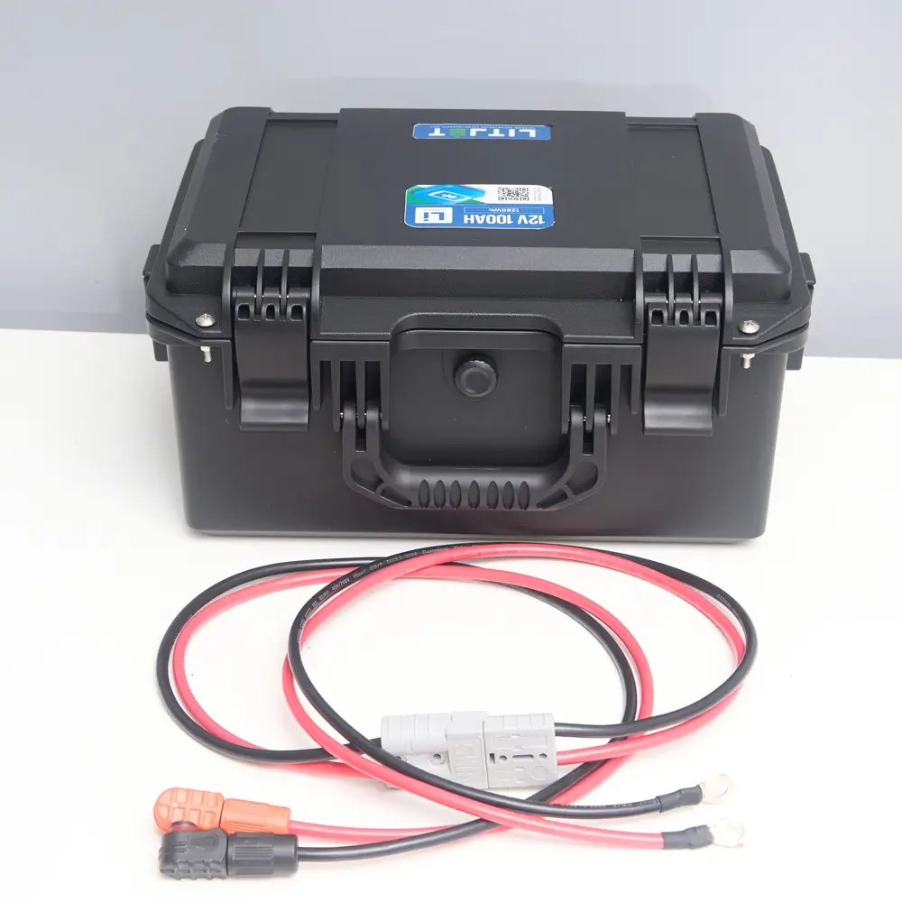 Литиевый аккумулятор тяговый LITJET SMART LiFePO4 12V 100Ah 1280Wh с Bluetooth in strongcase 3 Литиевый аккумулятор тяговый LITJET SMART LiFePO4 12V 100Ah 1280Wh in strong case фото кабеля